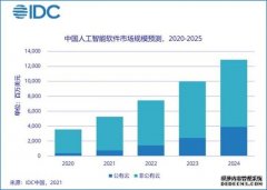 蓝冠注册平台_IDC：到2025年 中国AI软件市场公有云